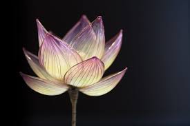 簪 かんざし 作家 榮 sakae 蓮 from 野庵 http www a yarn com japanese hair accessory kanzashi by sakae japan http sakaefly exblog jp かんざし花 アメリカンフラワー 花のかんざし