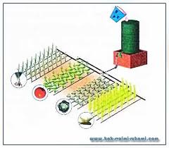 Sulama sistemi, pratik sulama sistemi, sulama çözümleri, ev bitkilerinin kendi kendine sulanması. Ev Yapimi Damlama Sulama Sistemi Nasil Organize Edilir Artilari Ve Eksileri Kendin Yap Nasil Kendin Yap