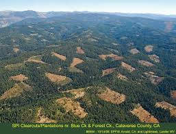 About Clearcutting | Sierra Club