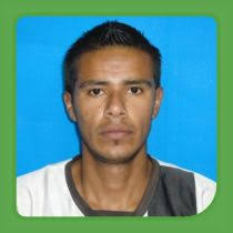 Gutiérrez Castro Luis Francisco