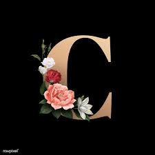 Download Premium Illustration Of Classic And Elegant Floral Alphabet Font Fonts Alphabet Lettering Alphabet Fonts Lettering Fonts