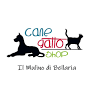 Cane Gatto Shop from m.facebook.com