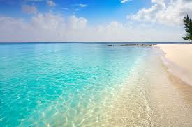 Check spelling or type a new query. Playa Palancar Cozumel Arrivalguides Com