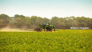 Post emergent corn herbicide labels define the latest growth stage for which herbicide applications can be made without causing crop injury. Pennsylvania Corn Soybeans Post Herbicide Applications Considerations And Challenges Agfax Weed Solutions