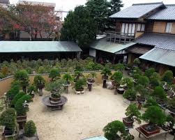 China restaurant bonsai garten home traunreut menu. Bonsai Gartengestaltung Bonsai Empire