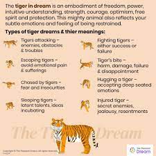 Tiger In Dream 40 Scenarios Its Interpretation Thepleasantdream