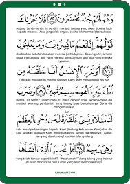 Mengikut sebuah hadis, surah yassin dinamakan mub'mah (pemberi berita baik) di dalam kitab taurat kerana ia mengandungi manafa'at kepada pembacanya dikehidupan dunia juga akhirat, seperti menghindari penderitaan dunia akhirat dan juga menjauhkan kedahsyatan kehidupan akhirat. Download Surat Yasin Dan Terjemahannya Pdf Surah Yasin Rumi Dan Terjemahan Pdf Dressmultiprogram Bacaan Surat Yasin Lengkap Dan Terjemahannya