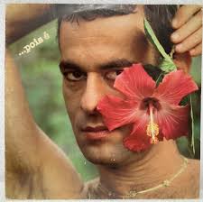 Disco de Vinil: Ao Pé Da Letra