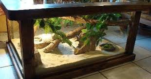 Terrarium Table Kind Of Awesome The Little Guy Would Always Be Front And Center 3 Bearded Dragon Terrarium Aquarium Coffee Table Bearded Dragon