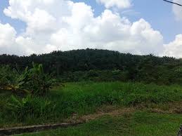 Malaysia land for sale +. Land For Sale In Malaysia Home Facebook