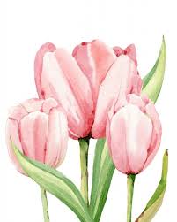 Dankbarkeit vorlage, vertrag, schablone dankbarkeit ist wie eine blume. 900 Blumen Und Pflanzen Ideen In 2021 Blumen Pflanzen Blumen Malen