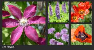 Check spelling or type a new query. John Semeniuk Johnsemeniuk Twitter