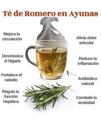 TE DE ROMERO EN AYUNAS 😱…..VER MAS El té de romero es una bebida natural conocida por sus múltiples propiedades medicinales y su delicioso sabor. Esta infusión se ha utilizado durante siglos