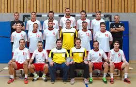 Issues of mandated systems in: 1 Mannschaft Maxdorfhandball