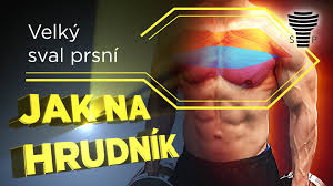 2 cviky na hrudník s jednoručkami. Hrudnik 2020 Nejlepsi Cviky Trenink Soutez Jak Spravne Nast