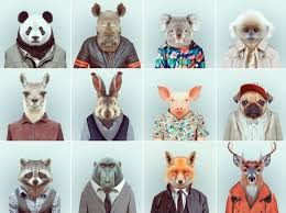 Can We Guess Your Spirit Animal Based On Your Fashion Sense Your Spirit Animal Animals Art