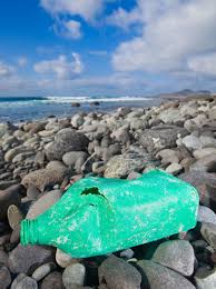 The great white shark is at the top of the ocean food chain. New Link In The Food Chain Marine Plastic Pollution And Seafood Safety Environmental Health Perspectives Vol 123 No 2