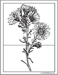If daisies make you happy, print our daisy coloring pages. Daisy Coloring Pages 15 Customizable Pdfs