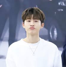 Kim hanbin is one of the best leaders: Kim Hanbin Bi Home Facebook