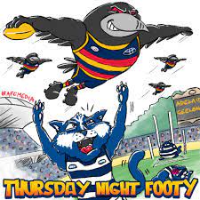 Explore more searches like adelaide crows mascot. Adelaide Crows On Twitter Back At Home Tonight Let S Fly High Again You Mighty Adelaide Crows Weflyasone