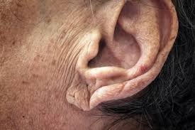 We did not find results for: Signs You May Have Clogged Arteries Best Health Canada