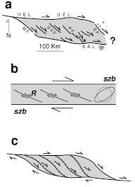 comparison among the structures described in this study a