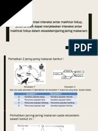 Rantai makanan di ekosistem padang rumput. Bab Rantai Makanan Dan Ciri Makhluk Hidup Pdf