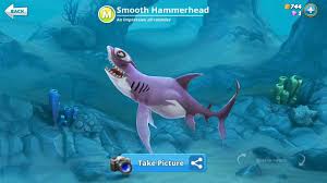 Hungry Shark World Smooth Hammerhead Shark Fish Pet World