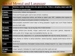 Developmental Assessment