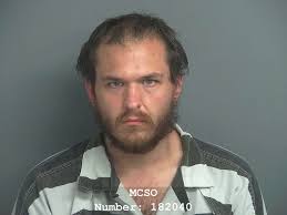 Montgomery County Precinct 4 Constable's Blotter Feb. 18-24