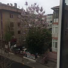 Karagümrük nerede ve hangi i̇lçeye bağlı? Fatih Ilce Nufus Mudurlugu Karagumruk Ta Devlet Binasi