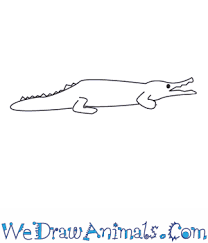 If you paid attention, then the front legs of a crocodile are somewhat reminiscent of human arms. How To Draw A Crocodile
