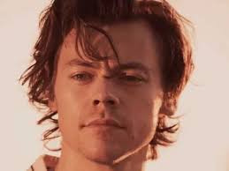 Você E Realmente Fã Do Harry Styles