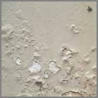 We did not find results for: Cara Mengecat Dinding Lembab Dan Berjamur Edupaint