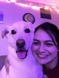 A Reflection Upon this Semester. By: Sandra Amaya, UMCP Criminology &  Criminal Justice student.