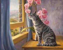 Hale Sumer Adli Kullanicinin Sokak Pencere Kapi Ev Street Window Door House Panosundaki Pin Tablolar Hayvan Kedi