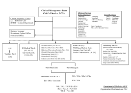 Organization Chart Of Hospital Ward Bedowntowndaytona Com