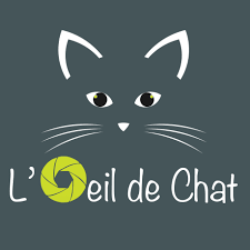 We did not find results for: L Oeil De Chat Photographe Home Facebook