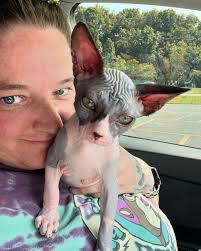 Tara Sandefur's Instagram, Twitter & Facebook