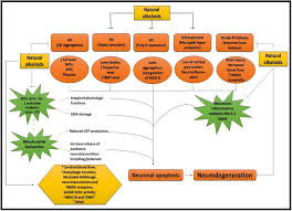 Role Of Plant Derived Alkaloids And Their Mechanism In