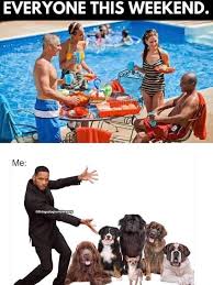 Profile for Norton's Petsitting services