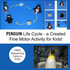 Emperor penguin conservation status and life today. Penguin Life Cycle A Created Fine Motor Activity For Kids Wikki Stix
