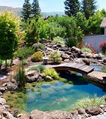 Big koi ponds google search kolam ikan arsitektur taman kecil. Natural Inspiration Koi Pond Design Ideas For A Rich And Tranquil Home Landscape