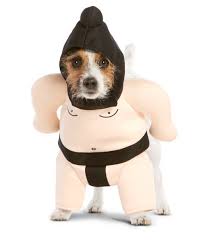 Halloween Costumes for Dogs - Vince Cincy