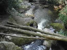 0.0 upper chattahoochee river national parks. Andrews Cove Hiking Trail Helen Ga Southern Highroads Trail