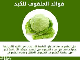 فوائد الملفوف للكبد صحة Health Food Vegetable Benefits Health And Nutrition