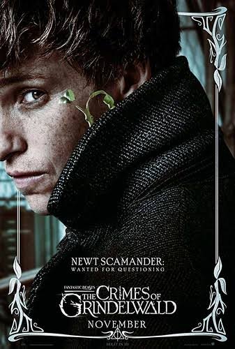 A First Look at Fantastic Beasts: The Crimes of Grindelwald | Wandering  Educators