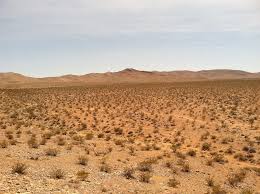 Resultado de imagem para deserto