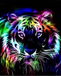 Pin By Trudi Furtney On Big Cats Tiger Tiger Art Tiger Wallpaper Animal Wallpaper