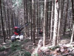 We did not find results for: Ghid De Bune Practici Pentru Operatorii Nationali